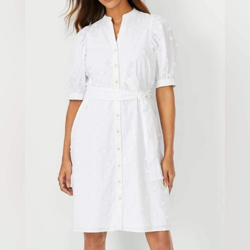 Ann Taylor Embroidered Floral White Button-Down Dress